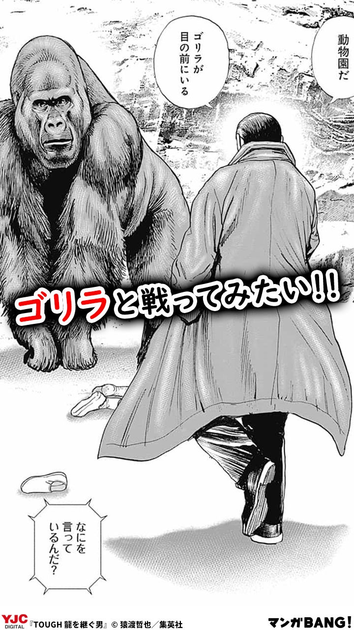 【画像】Xにとんでもない漫画広告が流れ大炎上中！